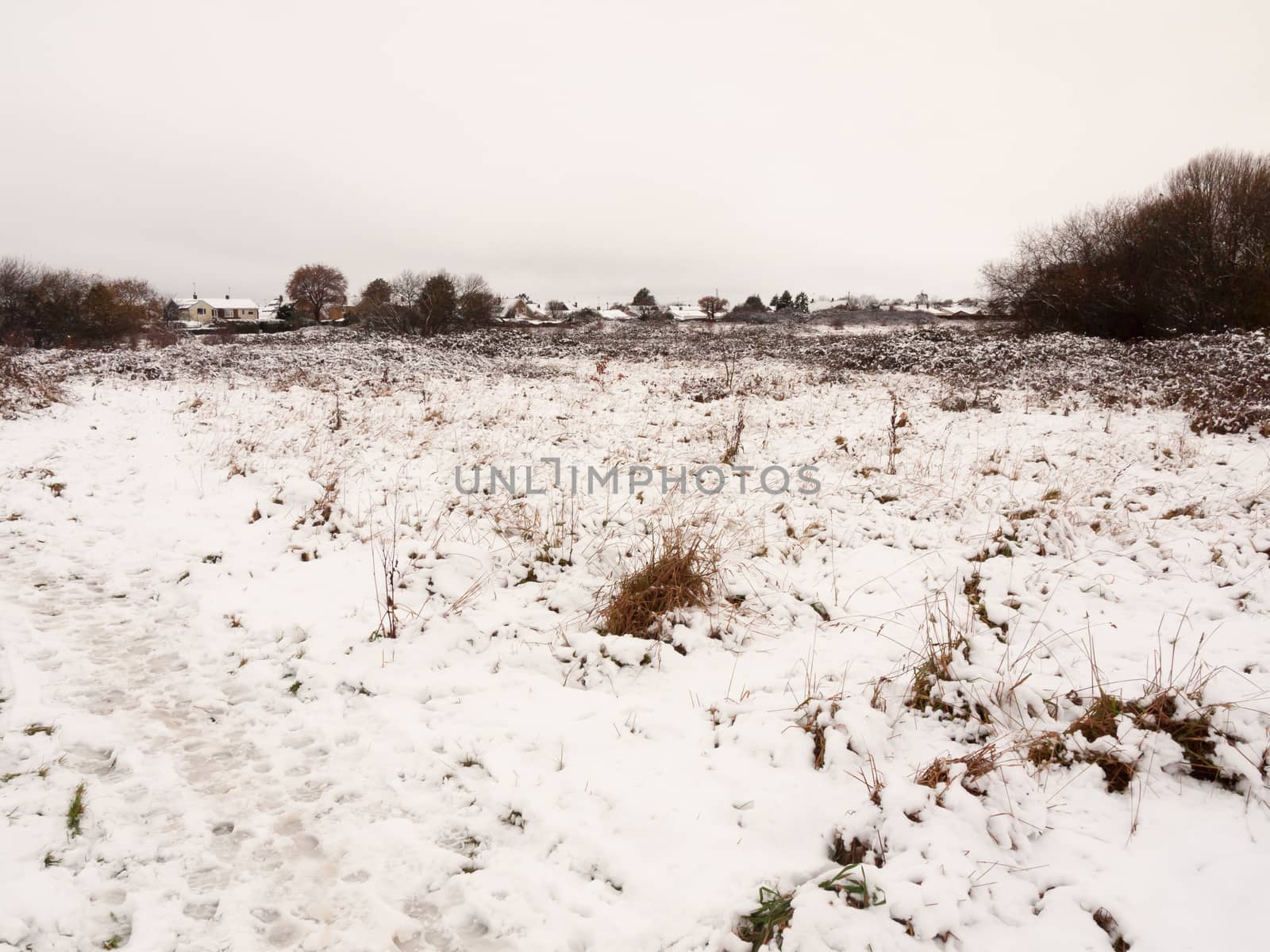 snow covered outside field meadow winter december landscape natu by callumrc