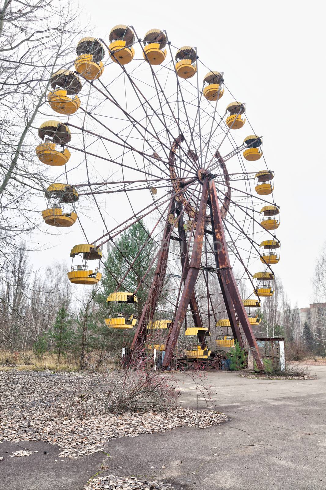 Attraction in amusement park in overgrown ghost city Pripyat. by igor_stramyk