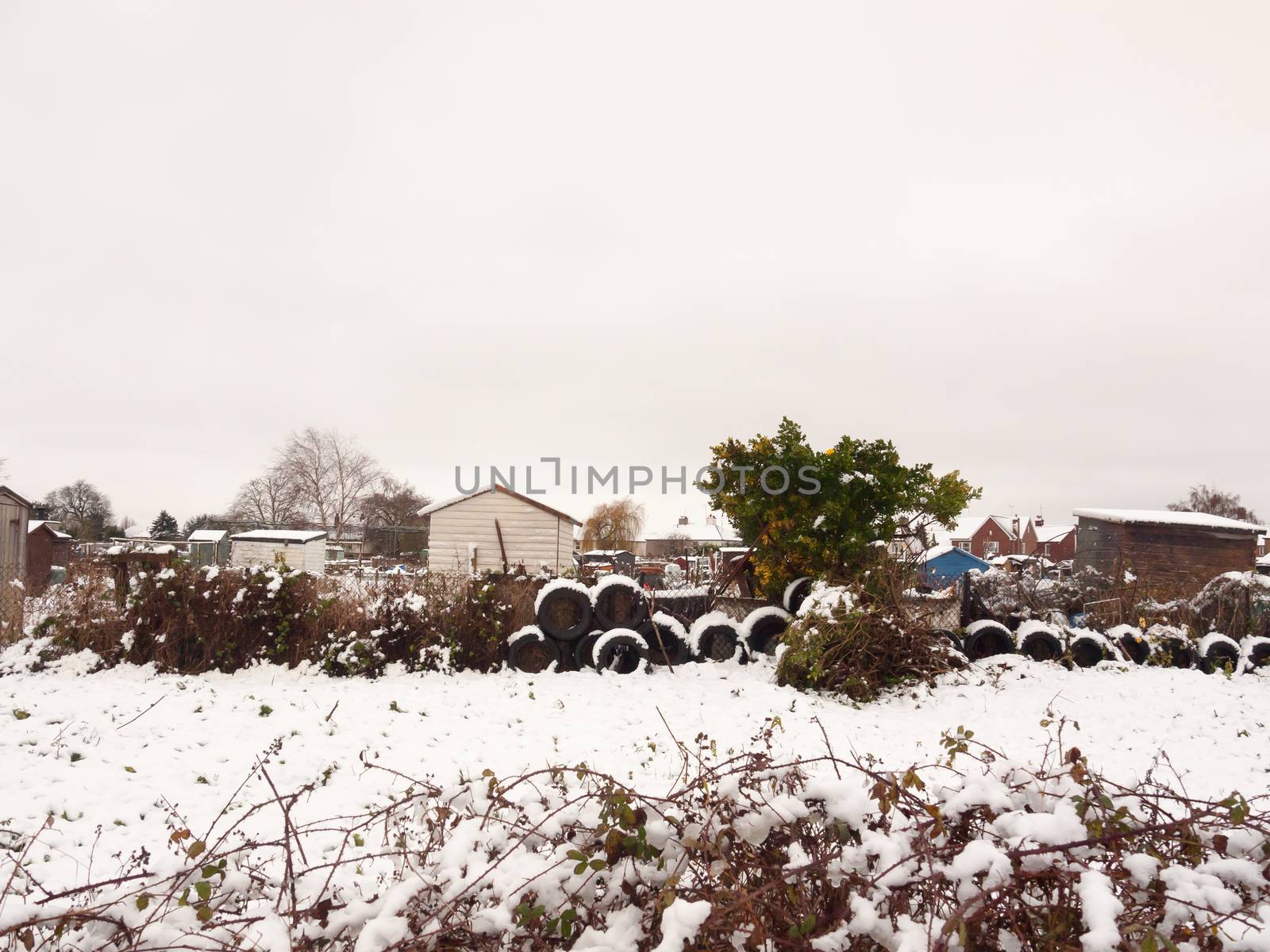 side of allotment scene winter close up snow december stack of t by callumrc