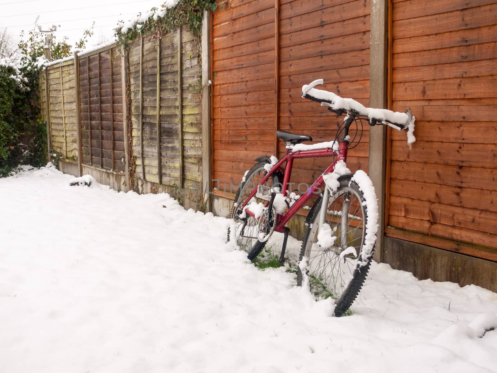 red bike cover in snow rested again fence snow covering ground winter; essex; england; uk
