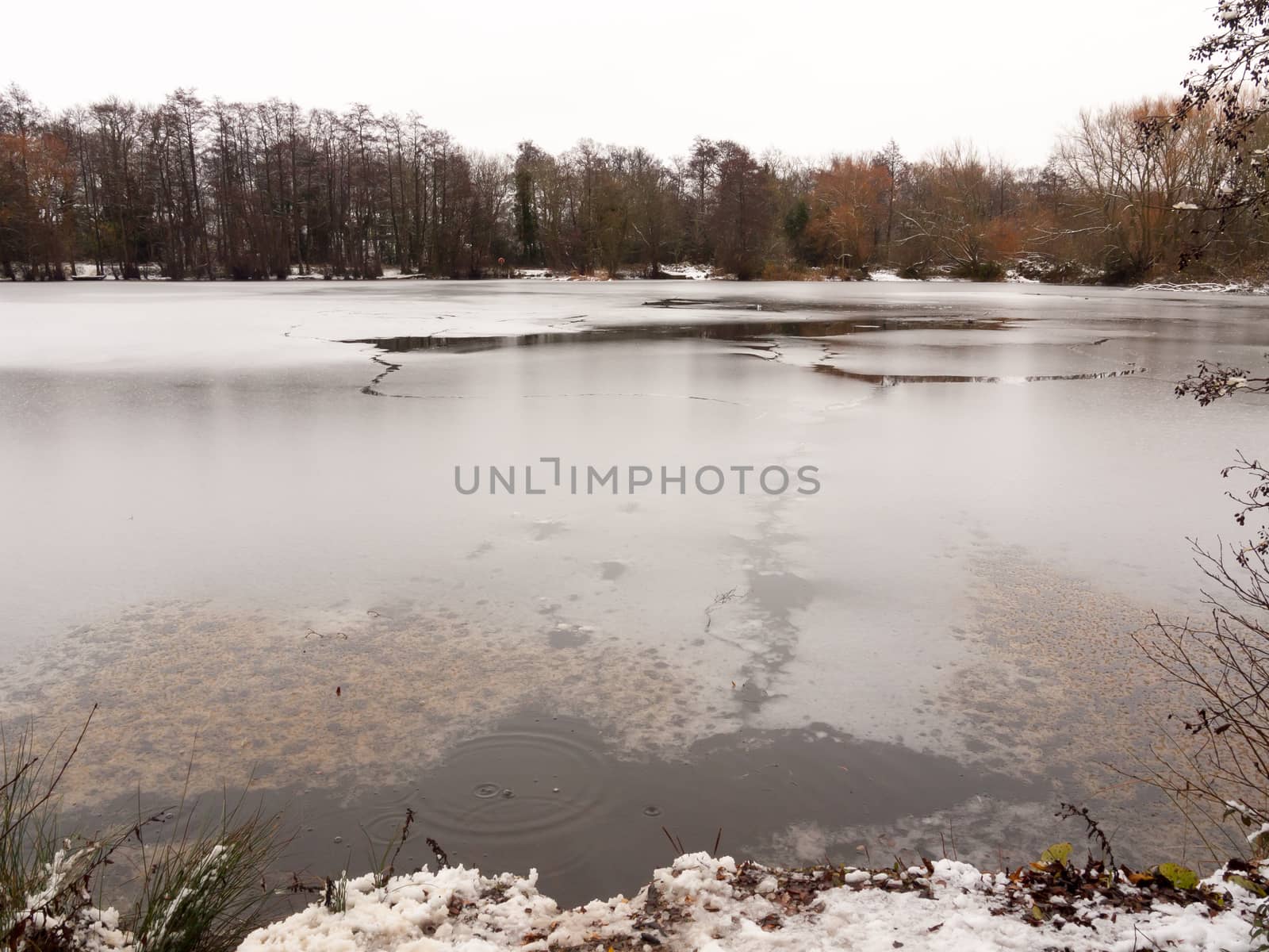 frozen over winter lake surface water trees white sky nature cra by callumrc