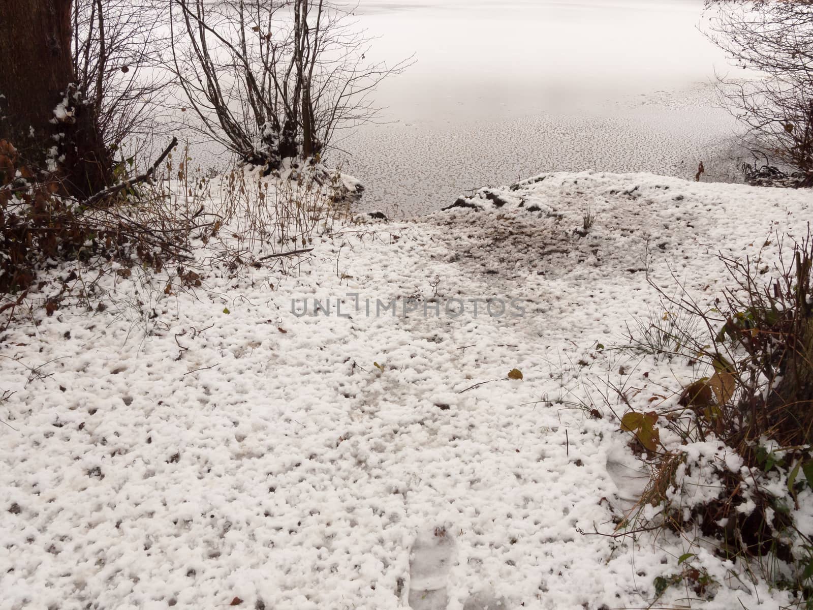 lakeside snow covered trees frozen lake scene winter december by callumrc