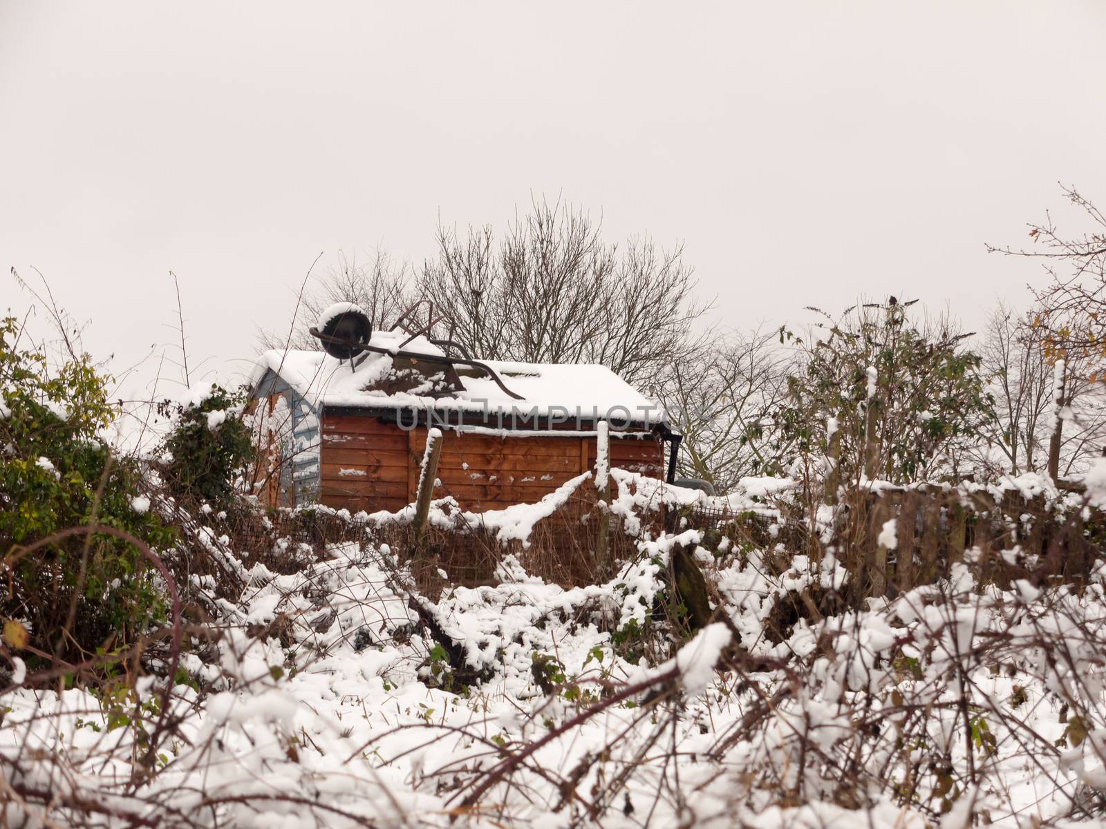 winter snow covered outside country field scene shed covered dec by callumrc