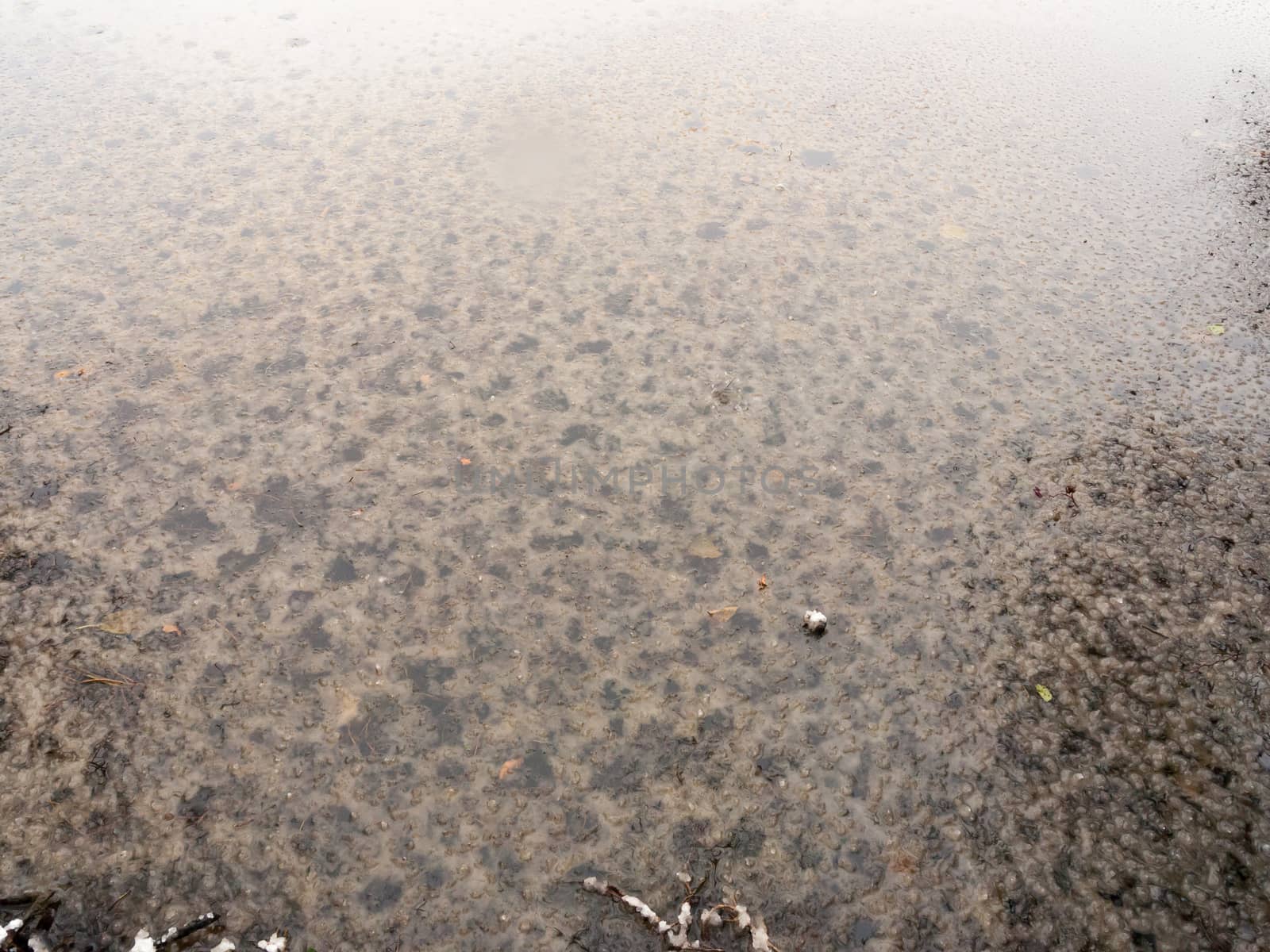 frozen over lake water surface outside winter december; essex; england; uk