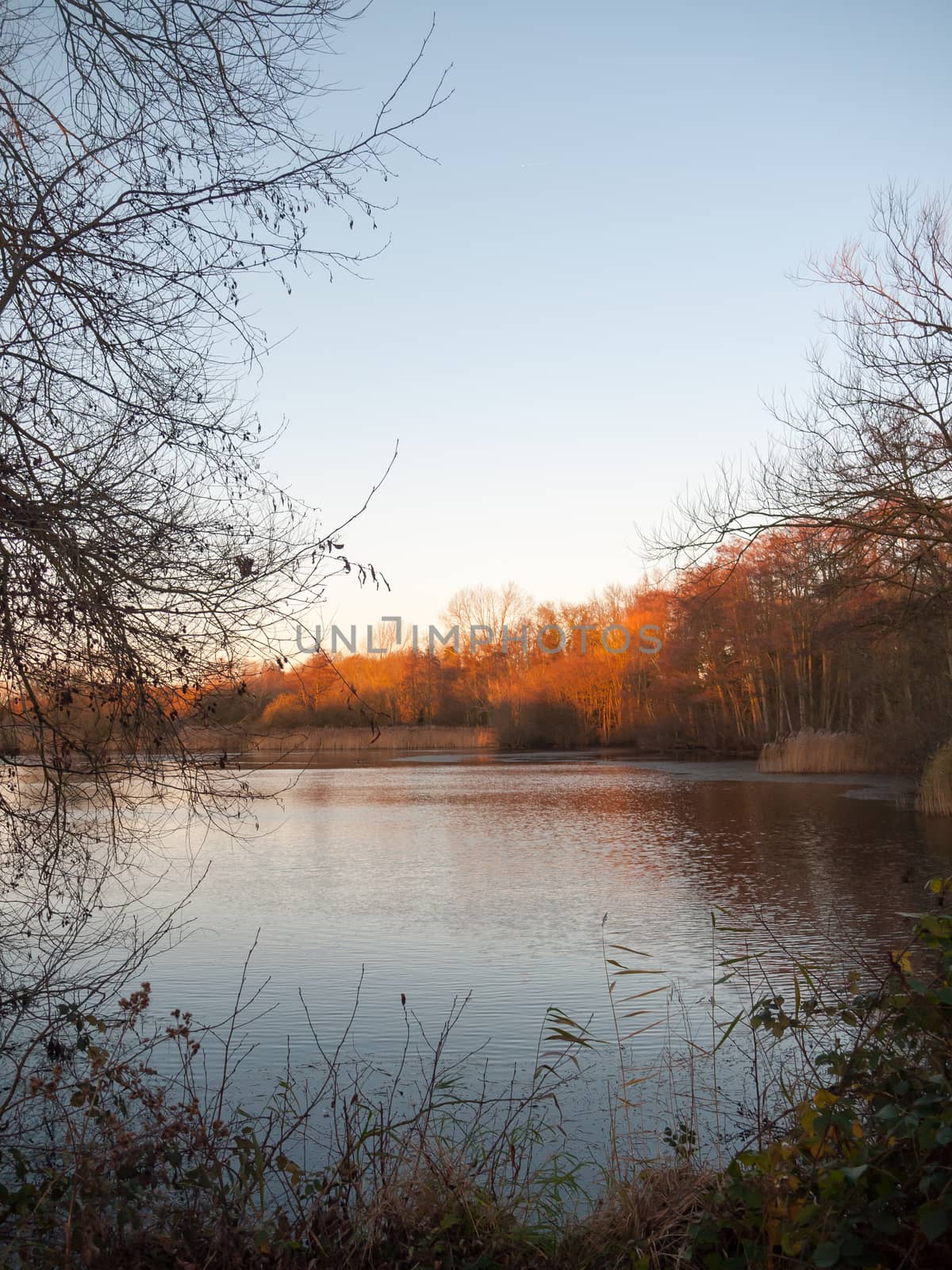 autumn lake scene outside sun set light space surface winter cle by callumrc