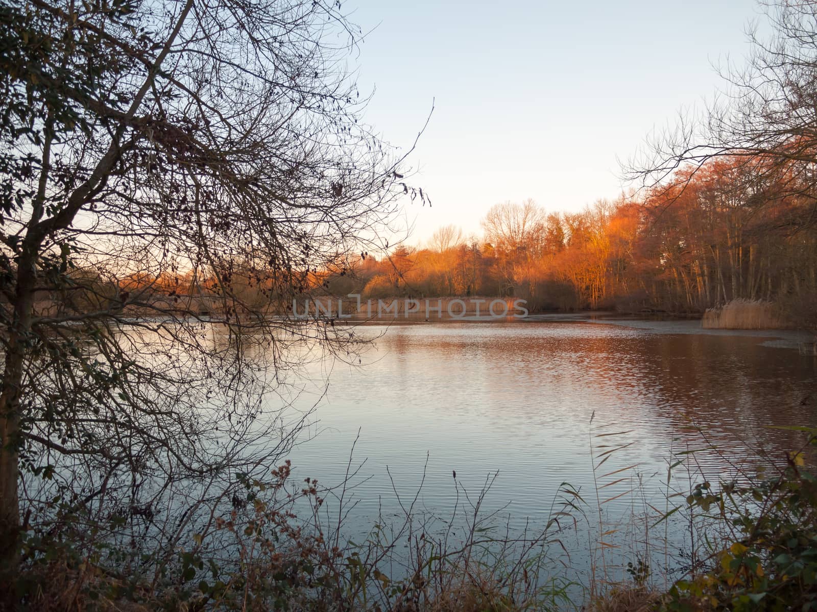 autumn lake scene outside sun set light space surface winter clear; essex; england; uk