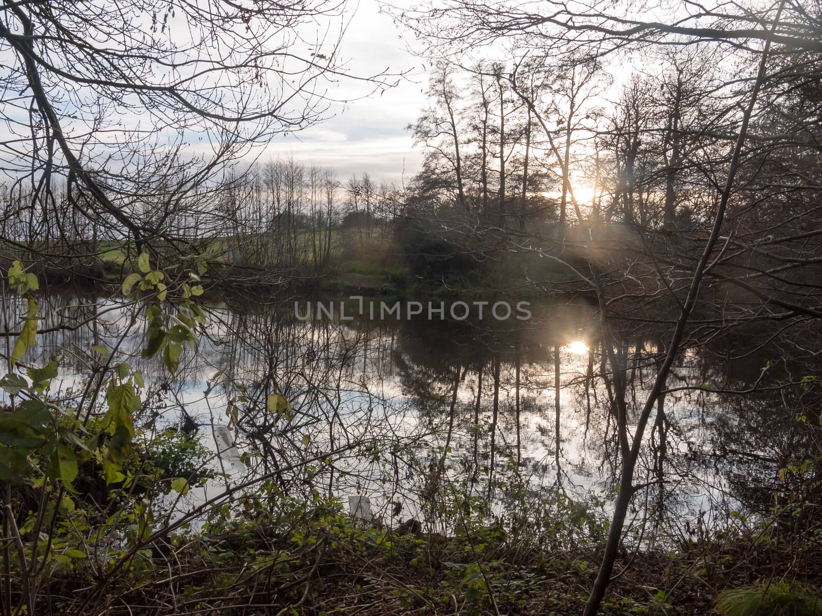 gamekeeper's pond winter autumn trees sunlight lake bare branche by callumrc
