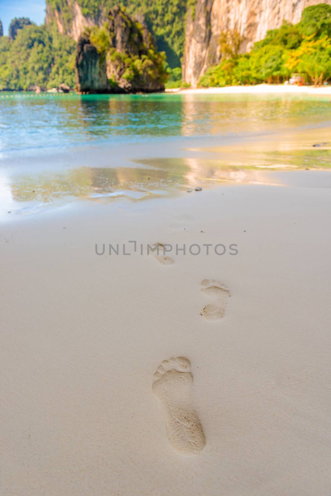 footprints in the sand leading to the sea close up by kosmsos111