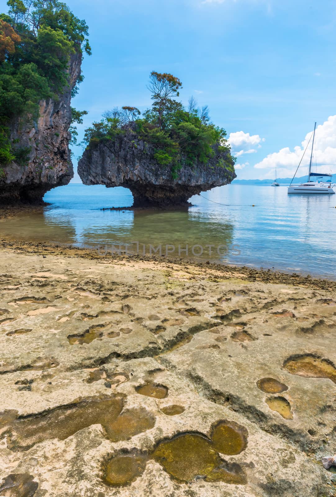 vertical photograph - rocky coast of the island in the Andaman Sea, Thailand