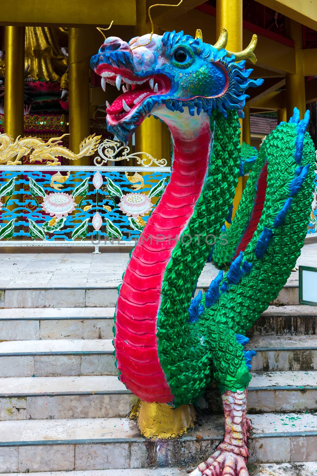 bright multi-colored Chinese dragon - the traditional symbol of the country
