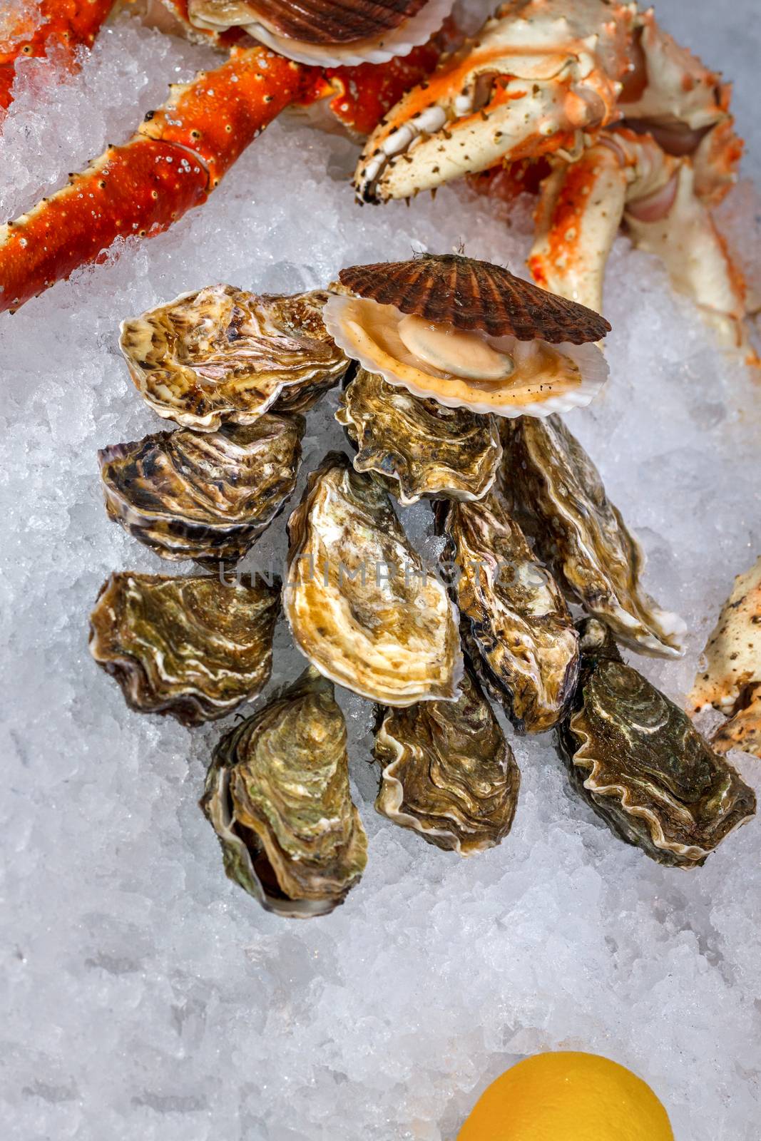 Seafood on ice at the fish market. Close-up