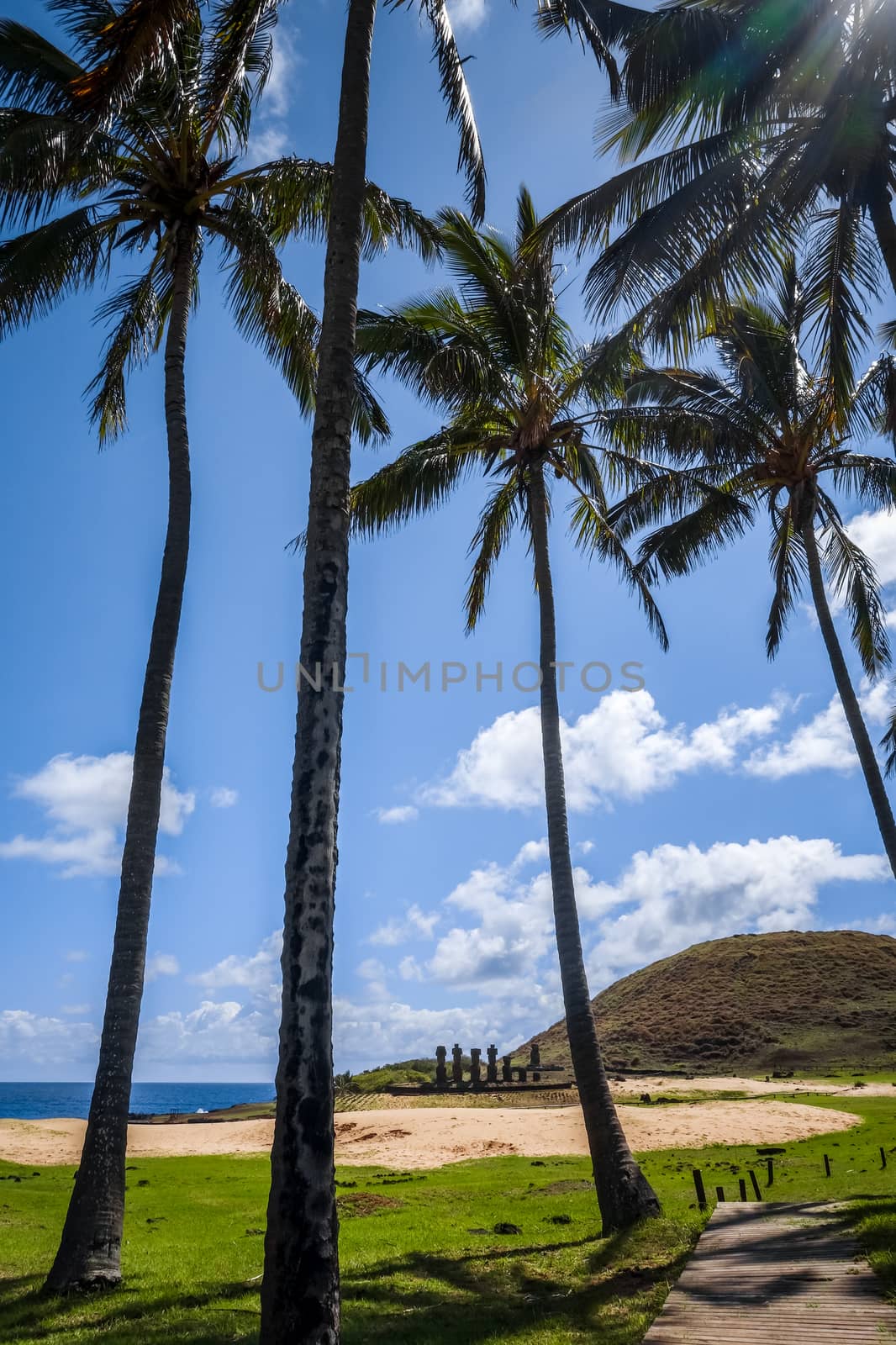 Anakena palm beach and Moais statues site ahu Nao Nao, easter island, Chile