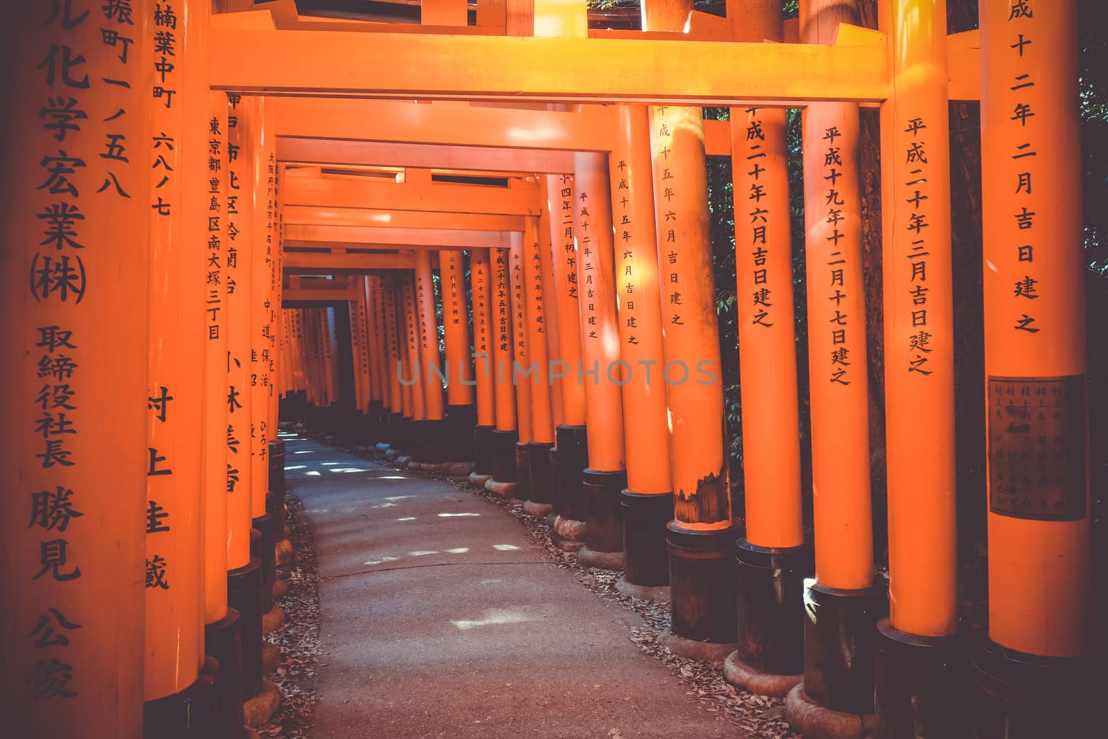 Fushimi Inari Taisha torii, Kyoto, Japan by daboost