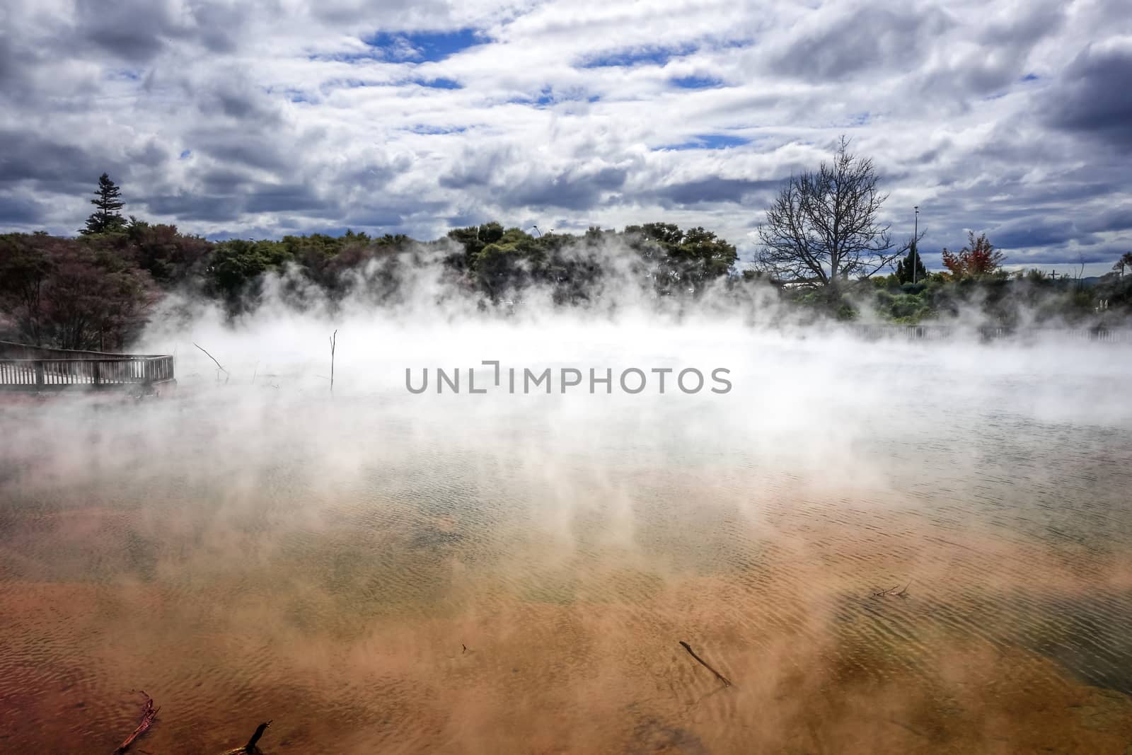 Hot springs lake in Rotorua, New Zealand by daboost