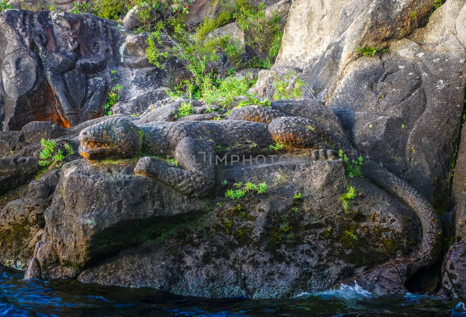 Maori rock carvings, Lizard, Taupo Lake, New Zealand by daboost