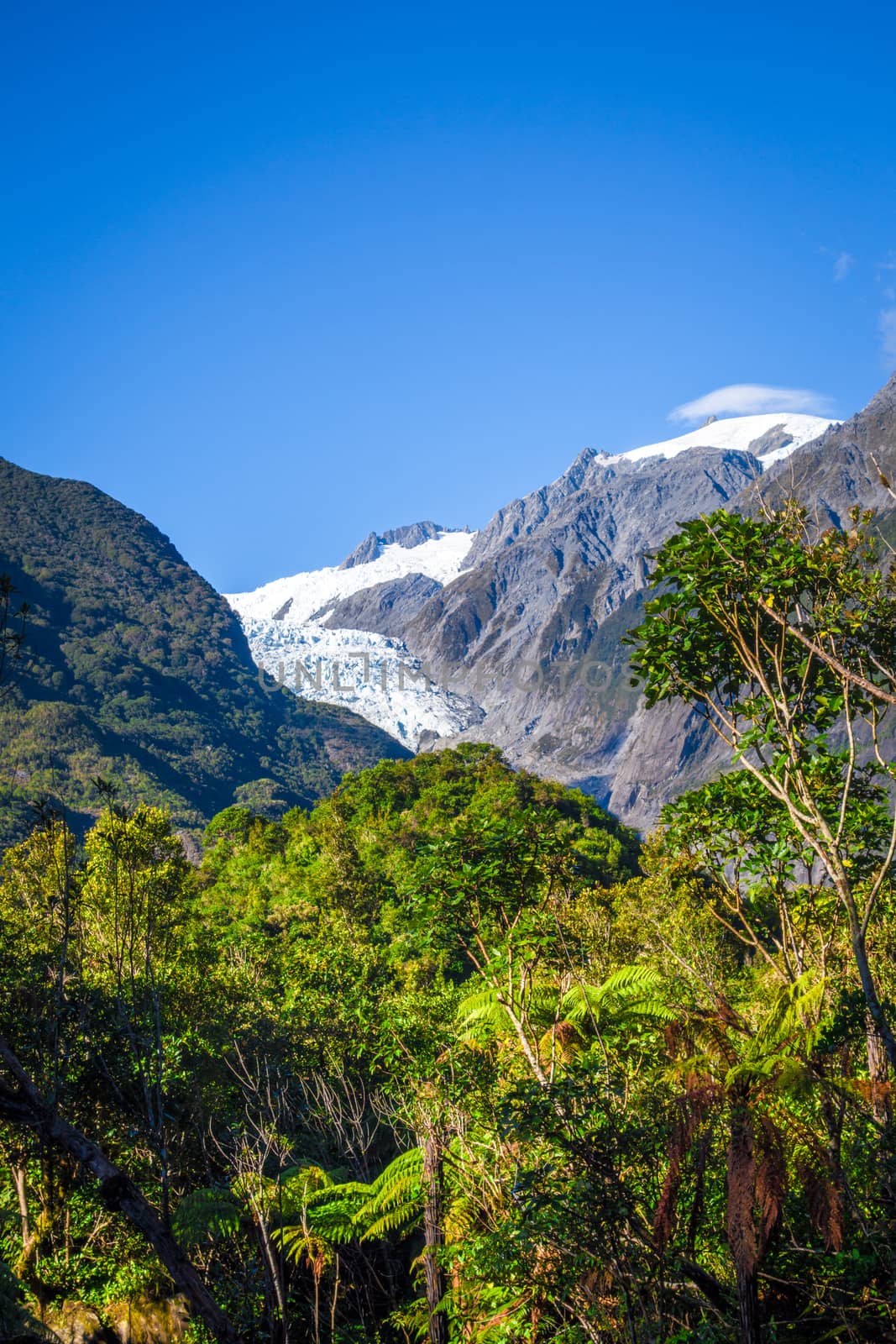 Franz Josef glacier and rain forest landscape, New Zealand