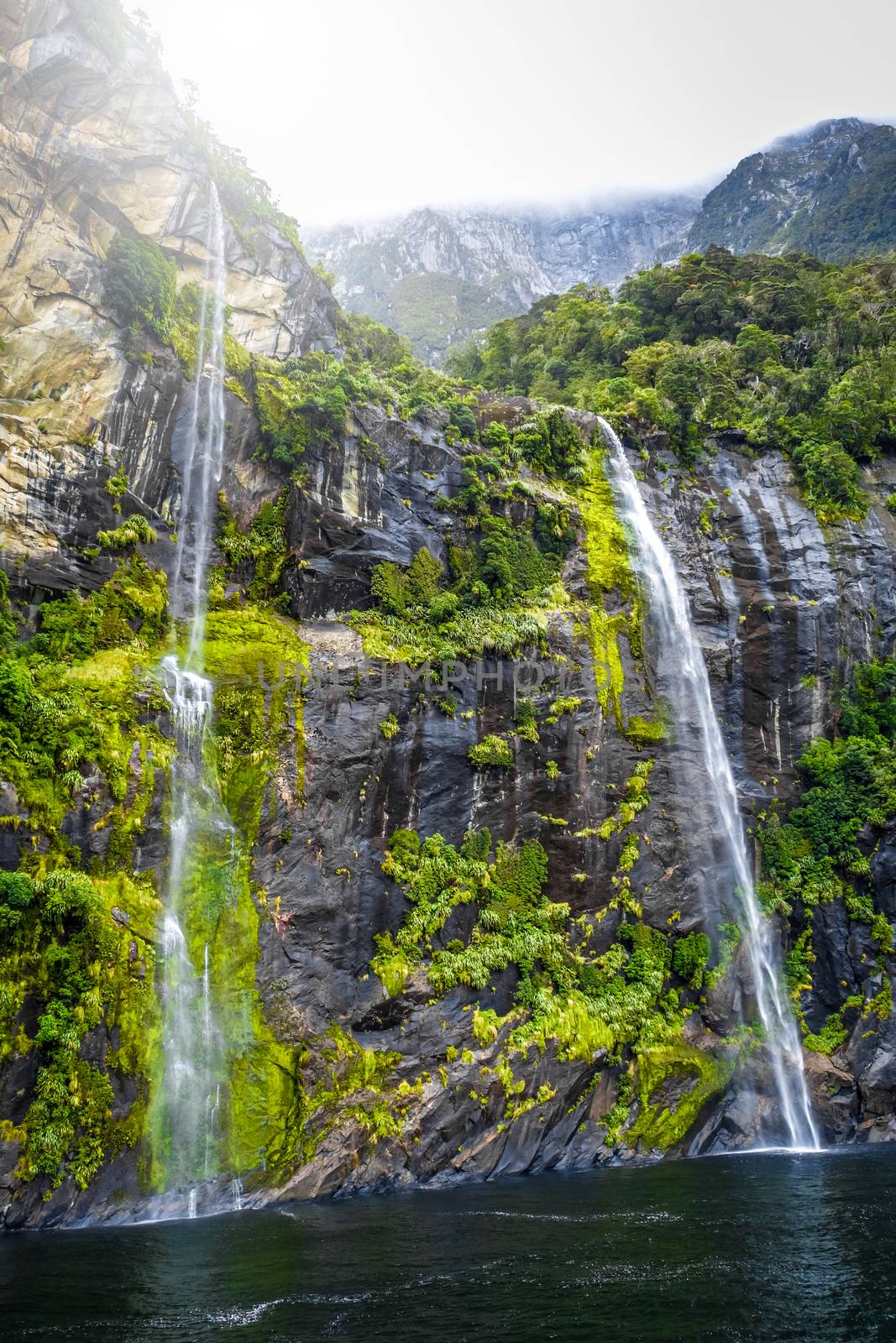 Waterfall in Milford Sound lake, New Zealand by daboost