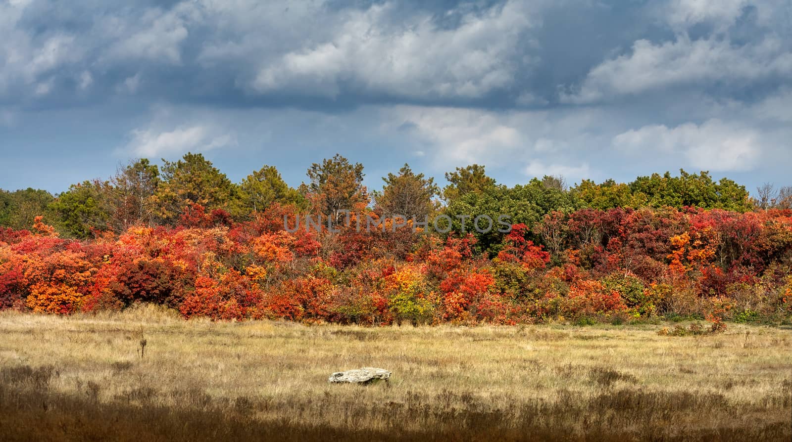 Beautiful autumn landscape by fogen