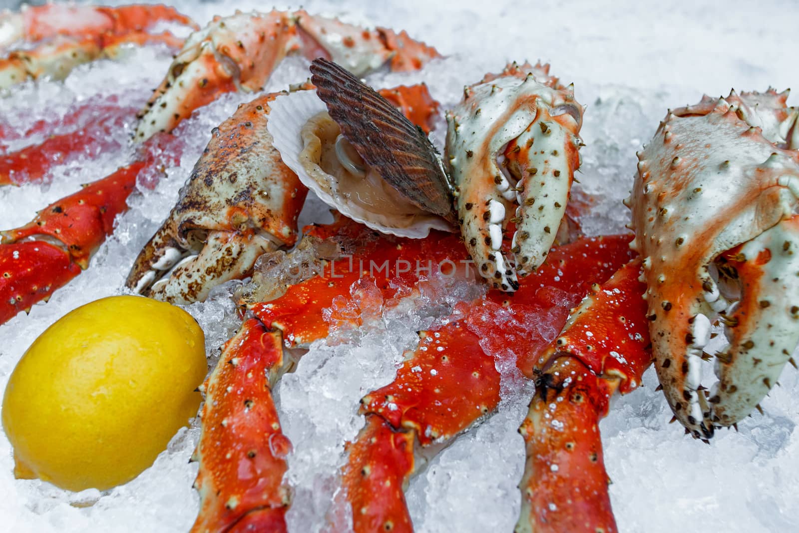 Fresh seafood in fish market by fogen