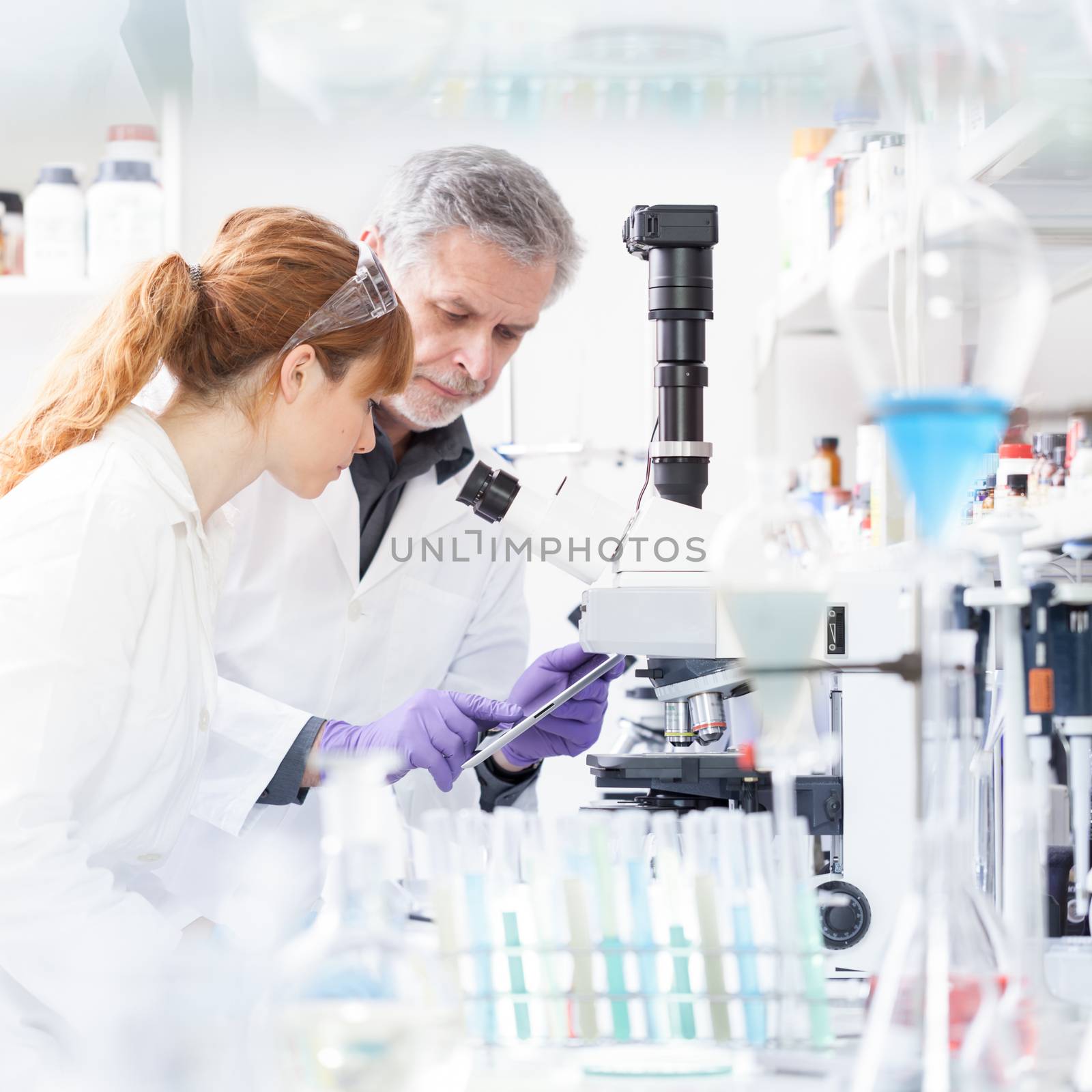 Health care researchers working in life scientific laboratory. Female research scientist and senior male supervisor looking focused at tablet computer screen evaluating and analyzing microscope image.