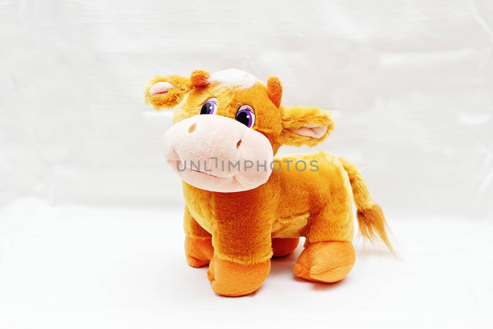 Soft toy nice cute cow isolated on white background.