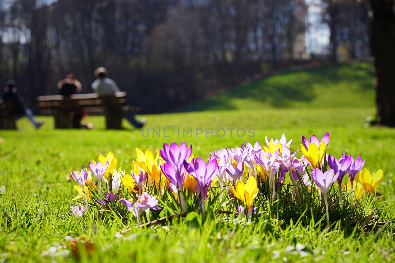 Springtime in Munich by Sirius3001