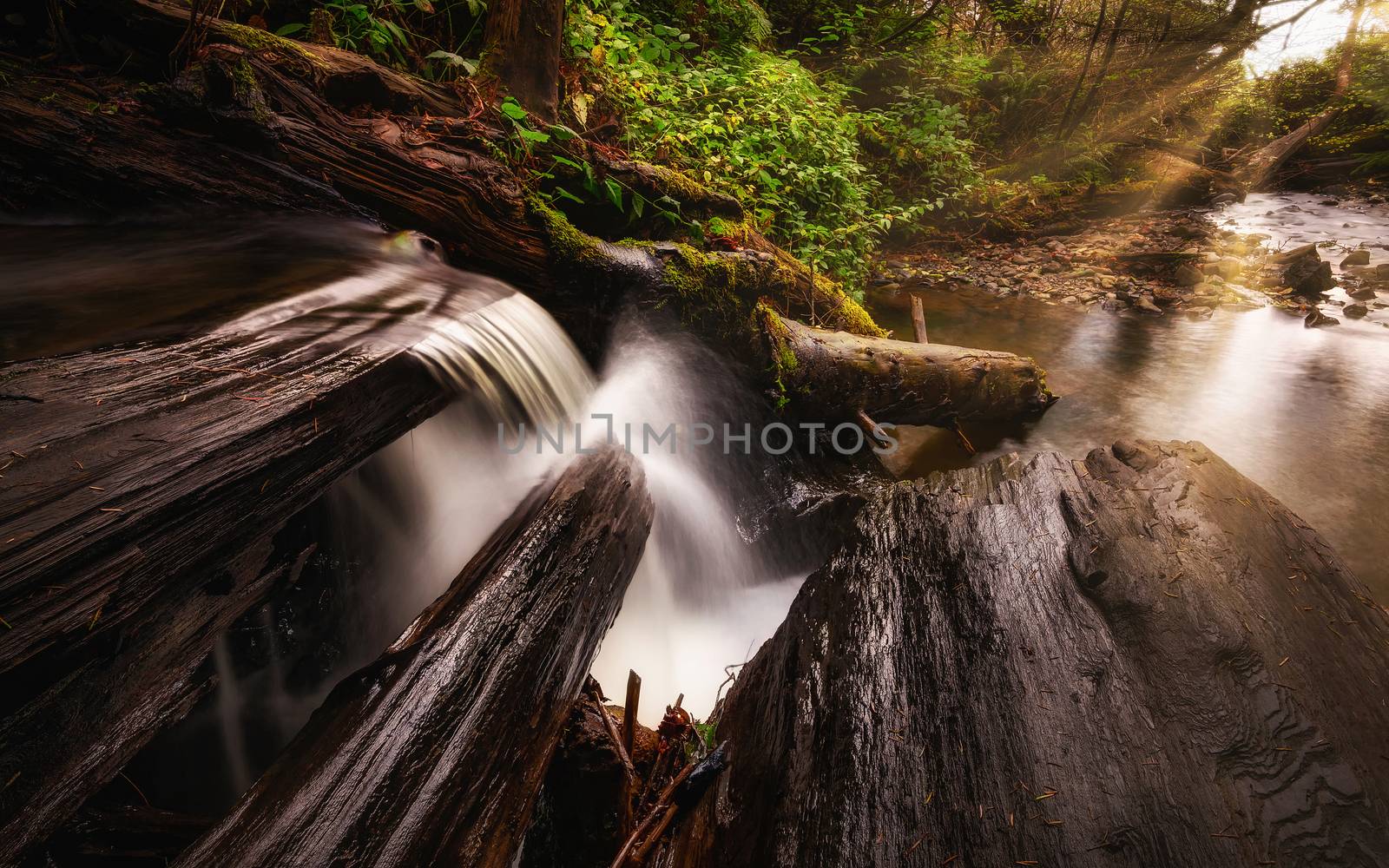 A waterfall in the mountains of Northern California. Color image, day.
