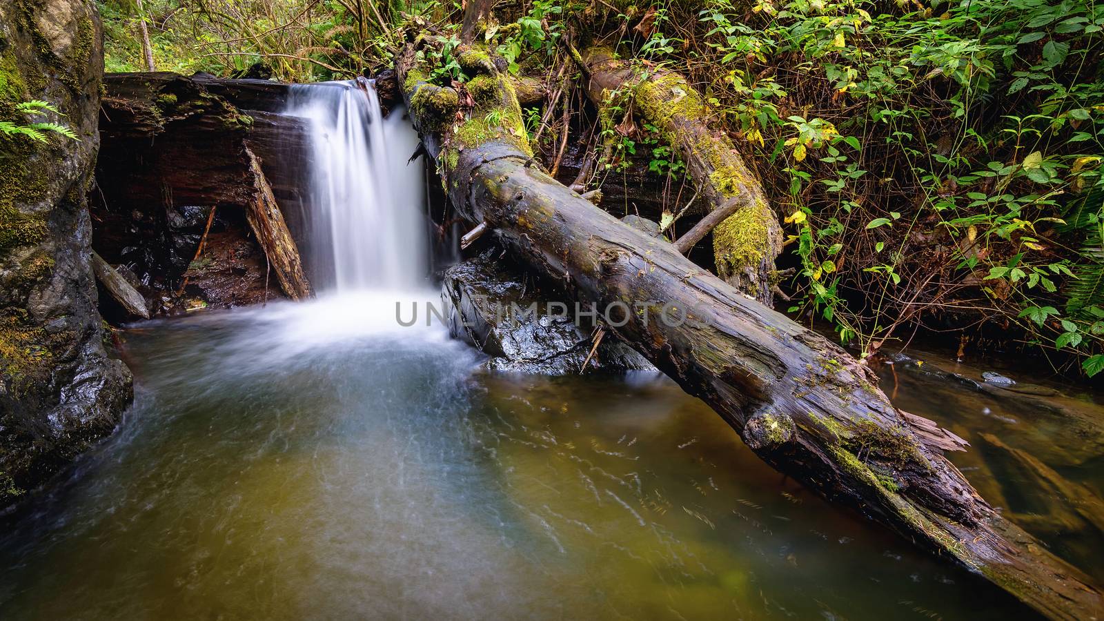 Small Waterfall in the Mountains of Northern California by backyard_photography