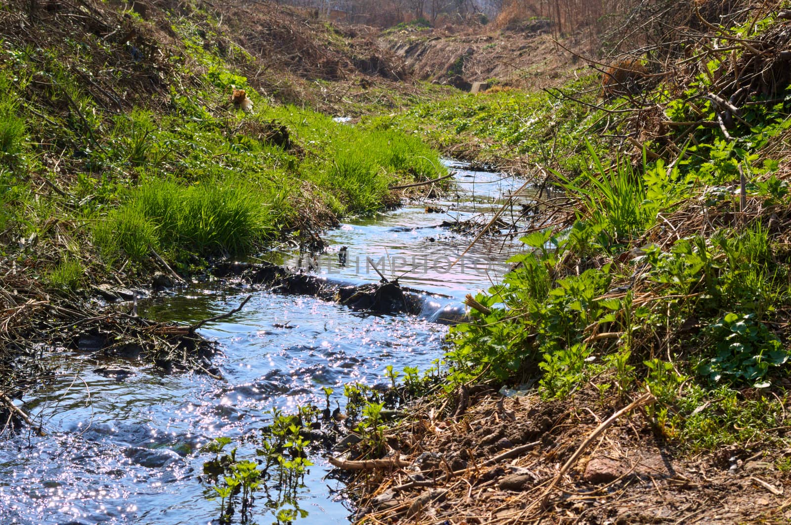 Small river stream flowing, Ledinci, Serbia by sheriffkule