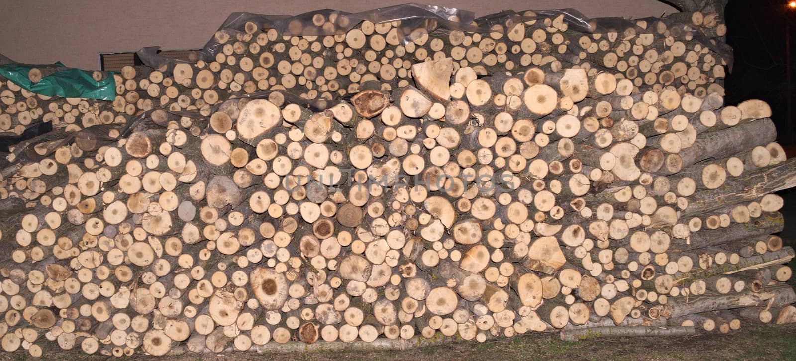 Pile of wood prepared for winter by sheriffkule