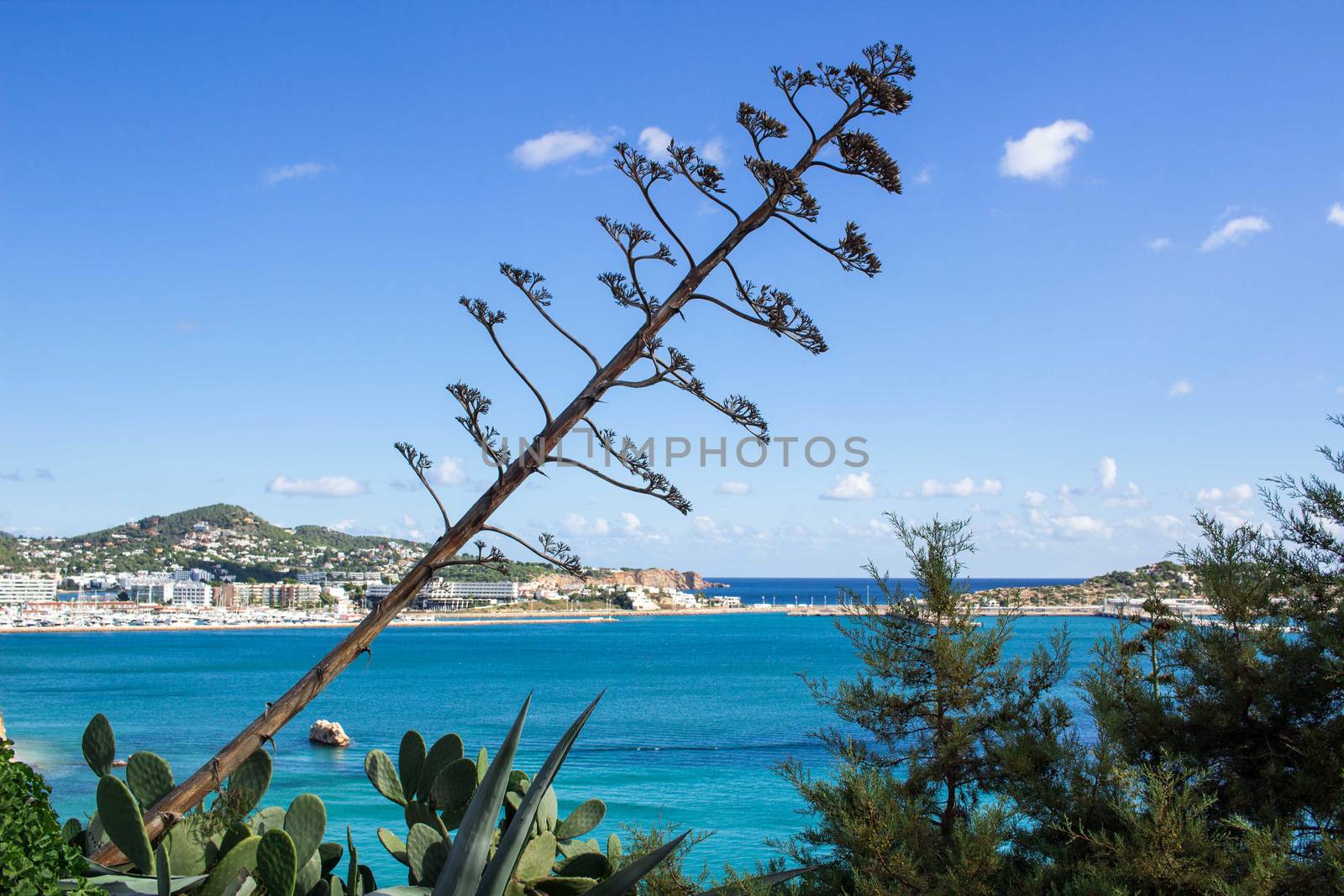 Sea view of Ibizza island from top to coastal blue waters