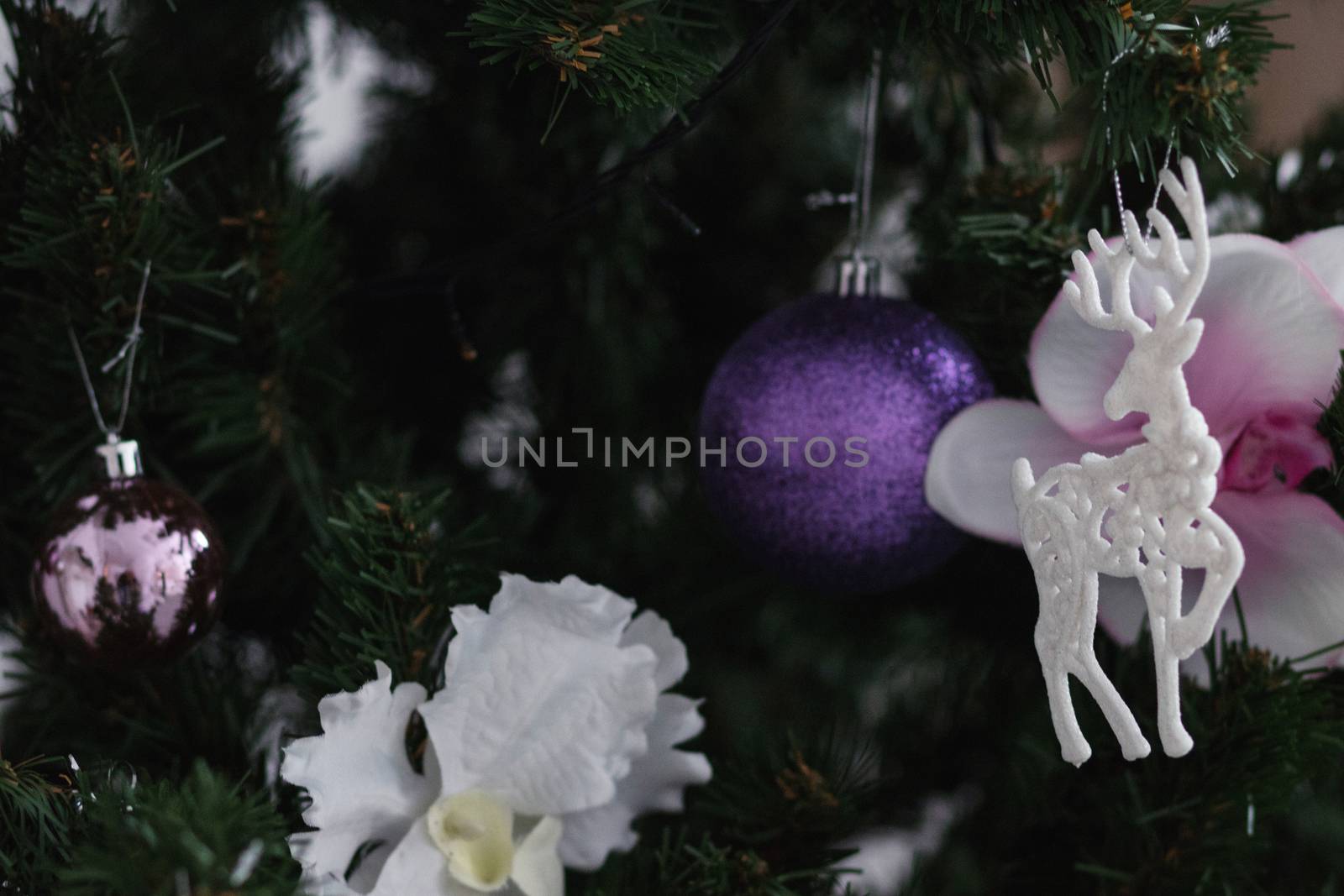 Christmas decorations on the branches fir. by 3KStudio