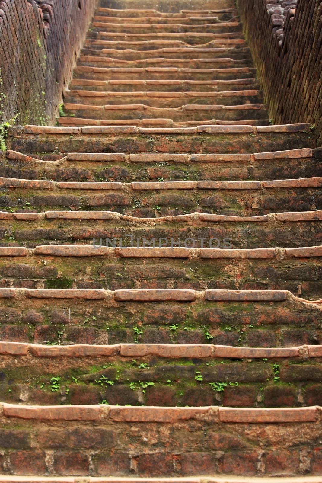 Sigiriya is an ancient palace located in the central Matale District near the town of Dambulla in the Central Province, Sri Lanka. The name refers to a site of historical and archaeological significance that is dominated by a massive column of rock nearly 200 meters (660 ft) high.