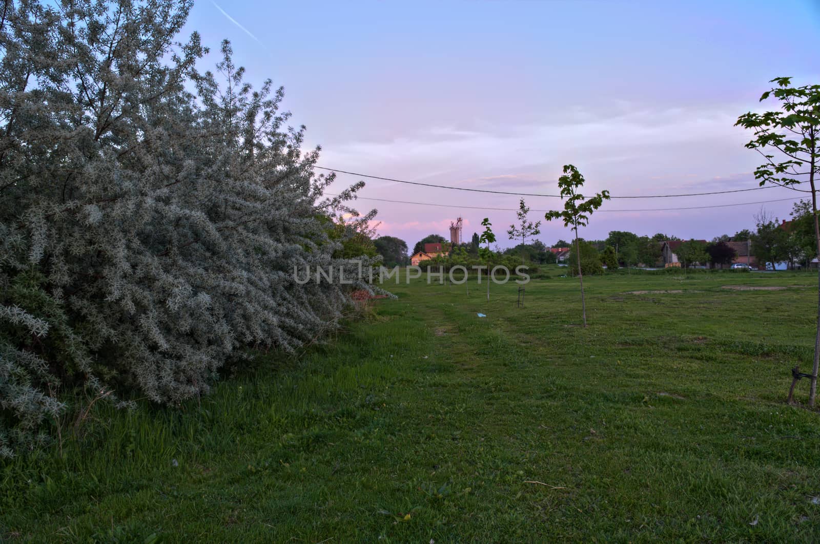 Countryside meadow sunset