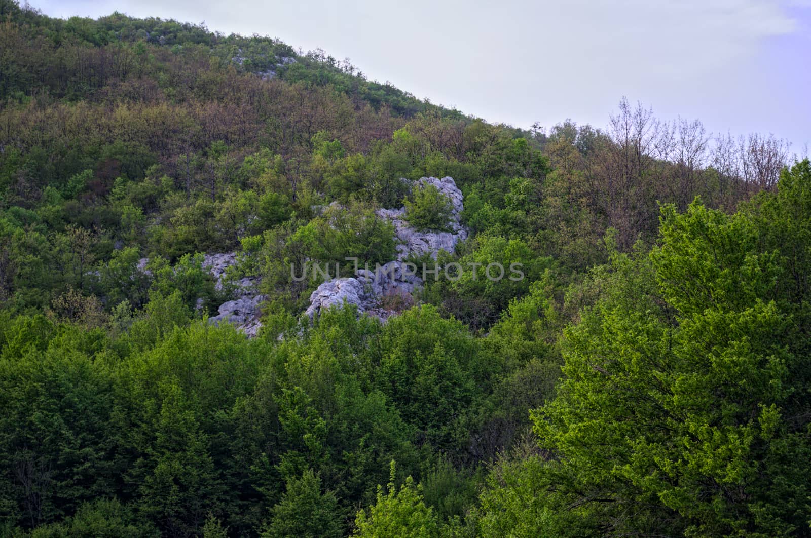 Dalmatia rocky hills landscape by sheriffkule