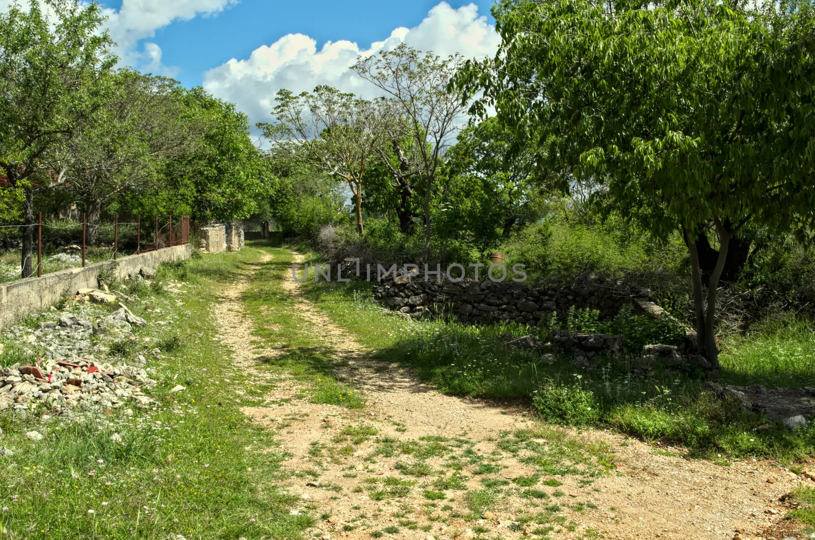 Countryside road in Dalmatia, spring time by sheriffkule