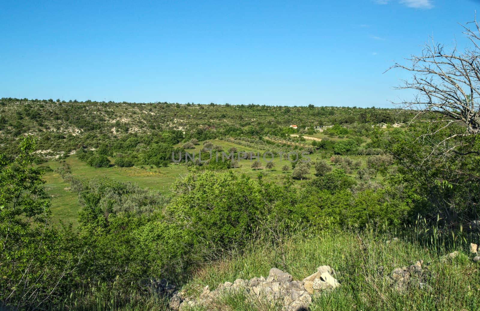 View on valley, Dalmatia landscape by sheriffkule