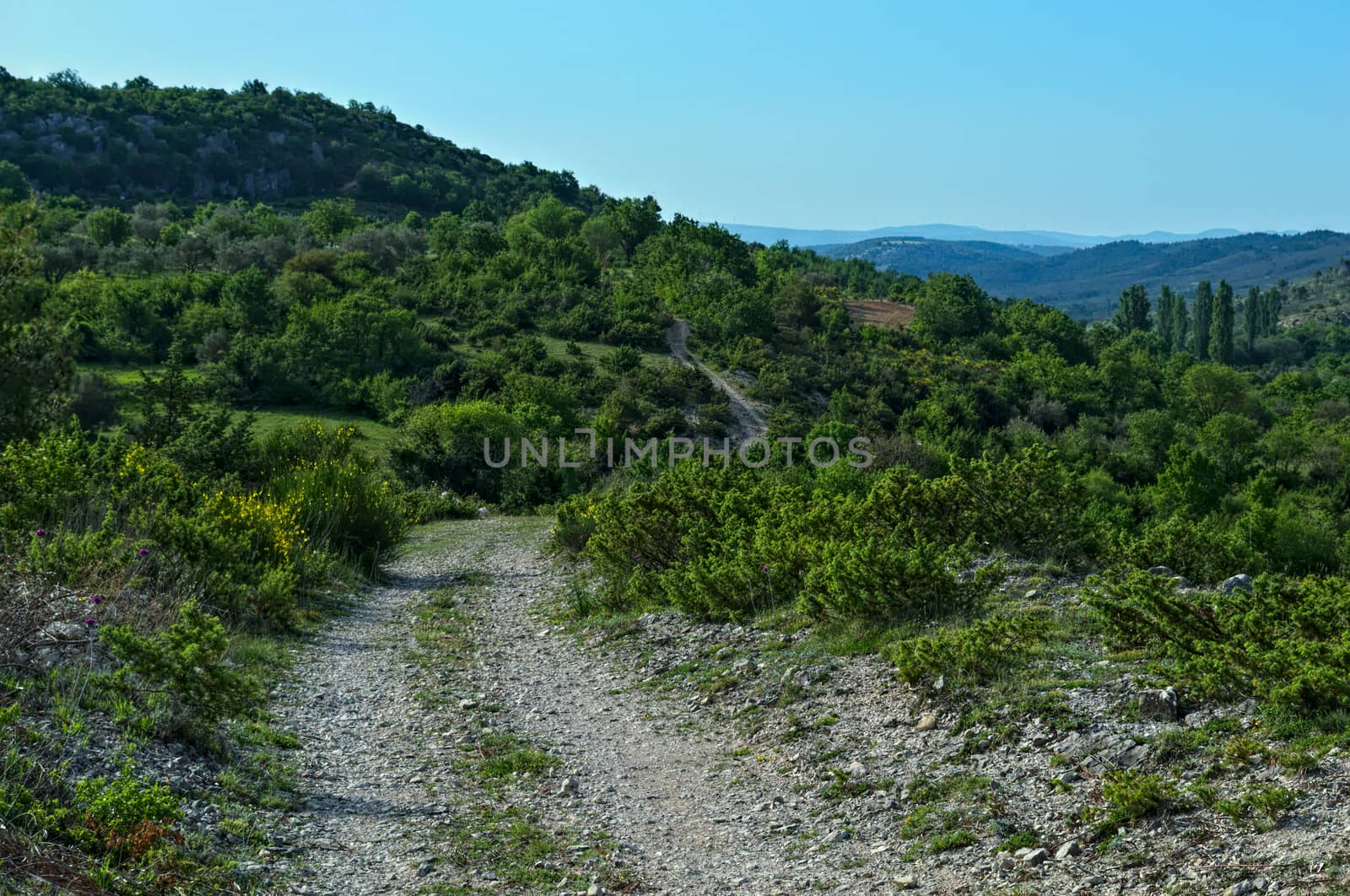 Rocky mountain road, Dalmatia landscape by sheriffkule