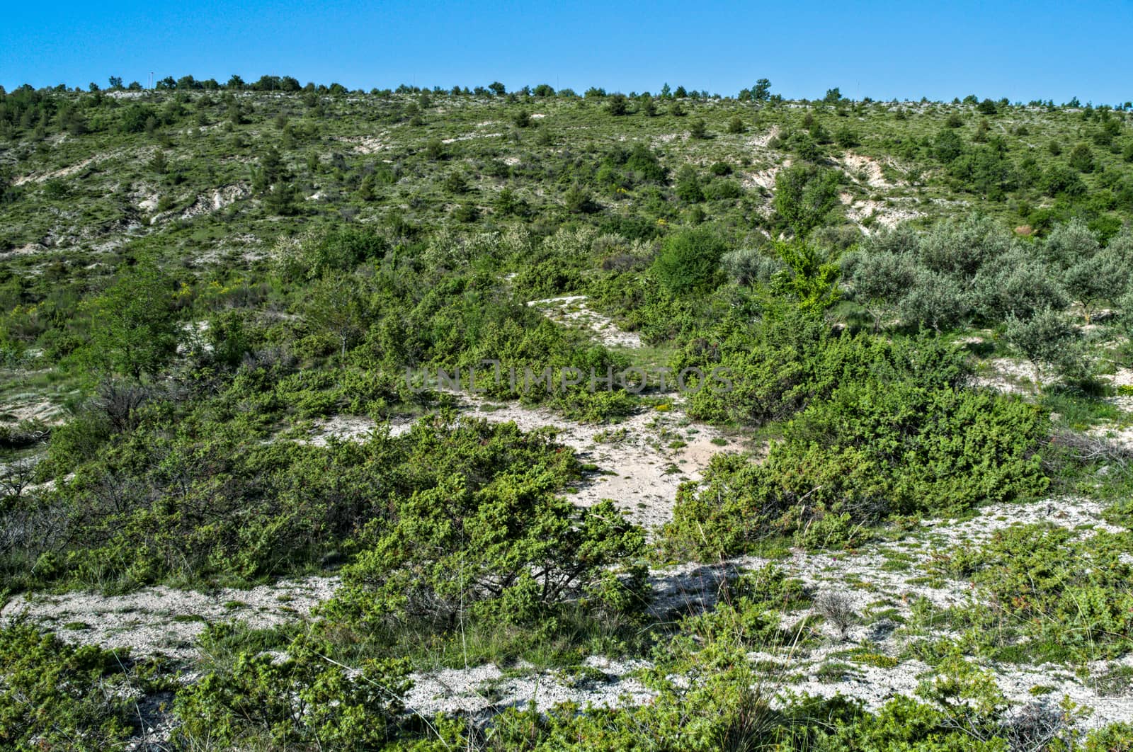 Rocky mountain Dalmatia landscape