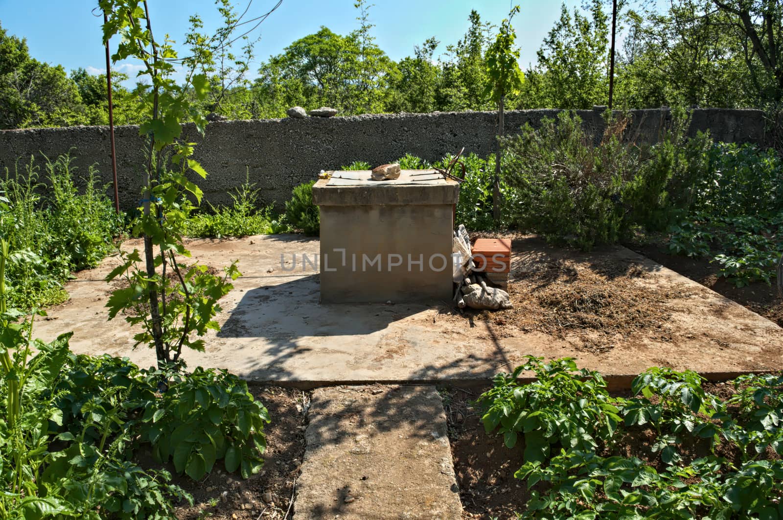 Water well and small garden around it