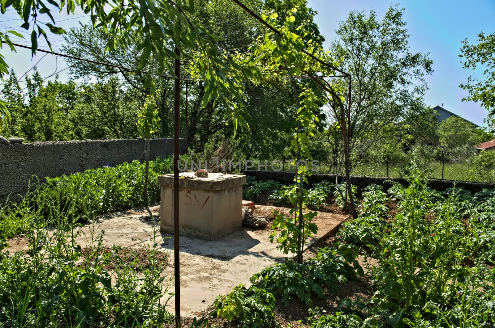 Water well and small garden around it