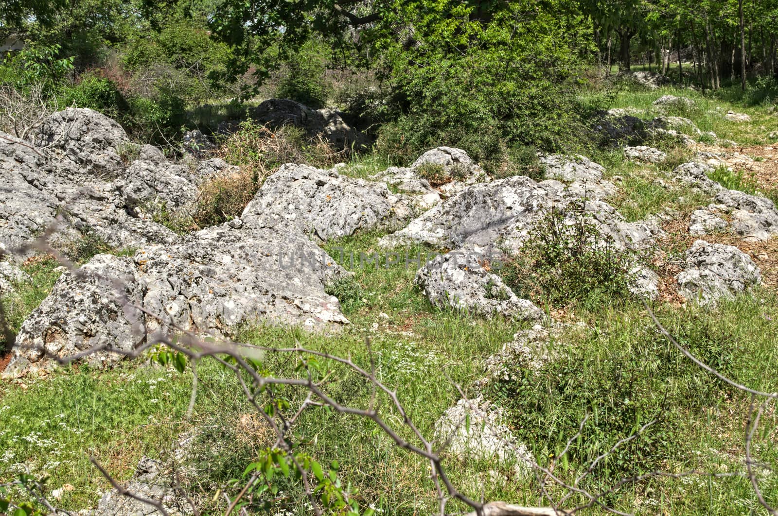 Dalmatian dry rocky landscape at spring time