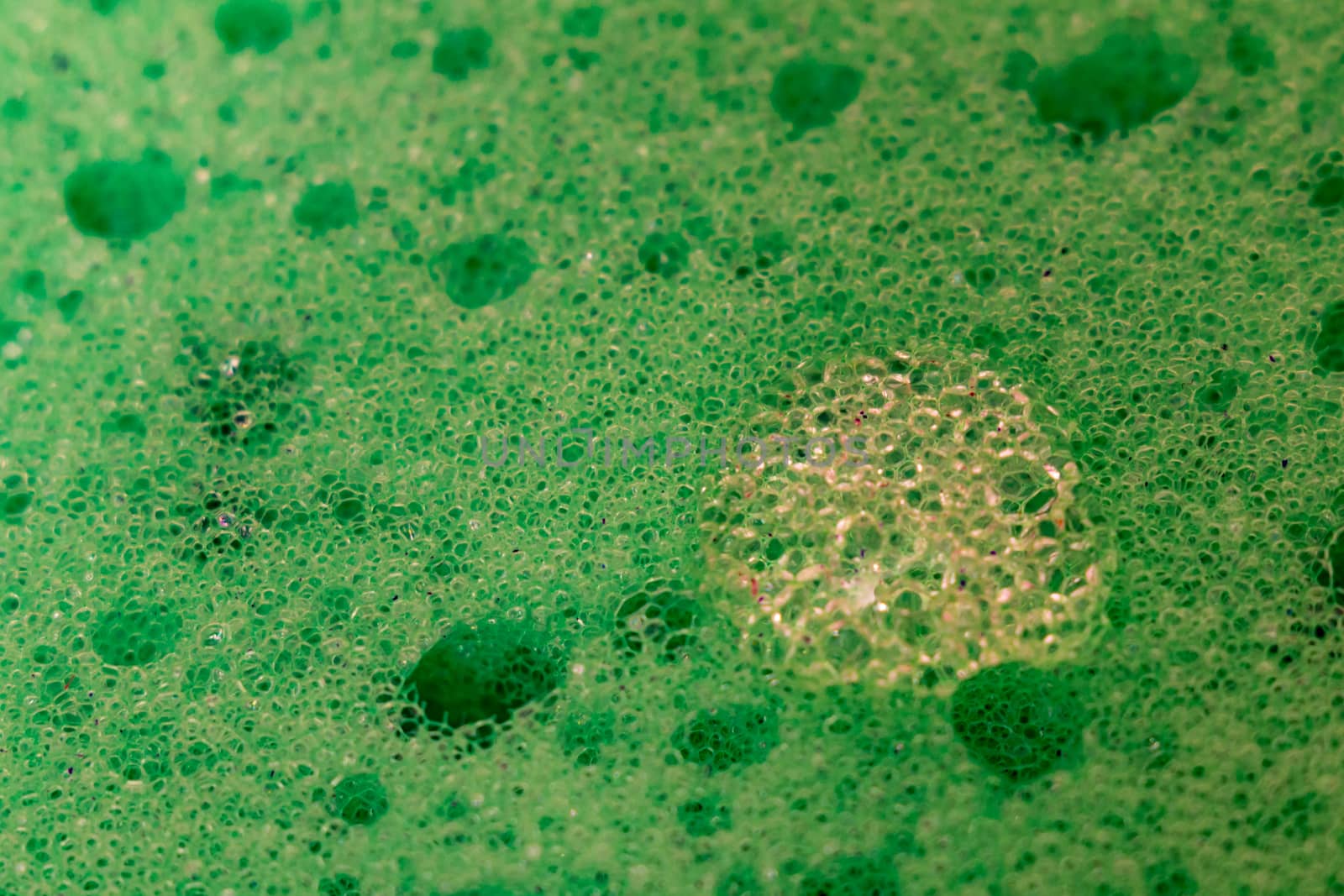 sponge bath macro shooting bubbles texture with water drops dishwashing detergent