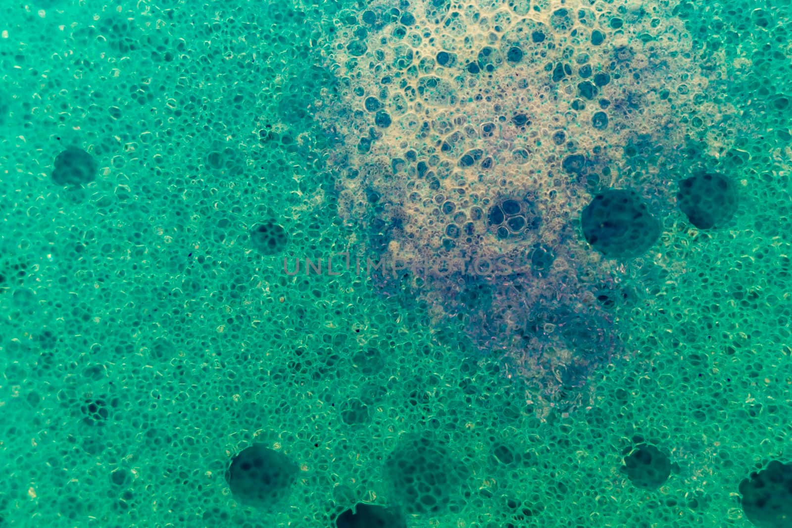 sponge bath macro shooting bubbles texture with water drops dishwashing detergent