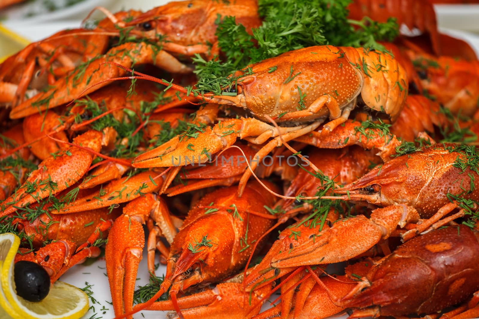 boiled crayfish with herbs and lemon by fogen