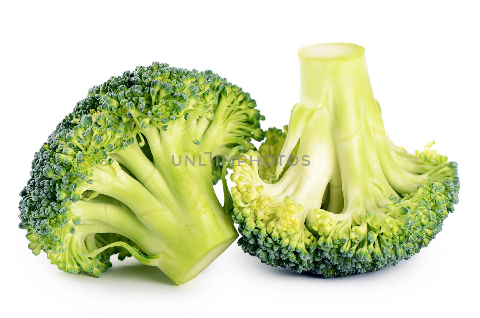 Fresh broccoli isolated on white background by SvetaVo