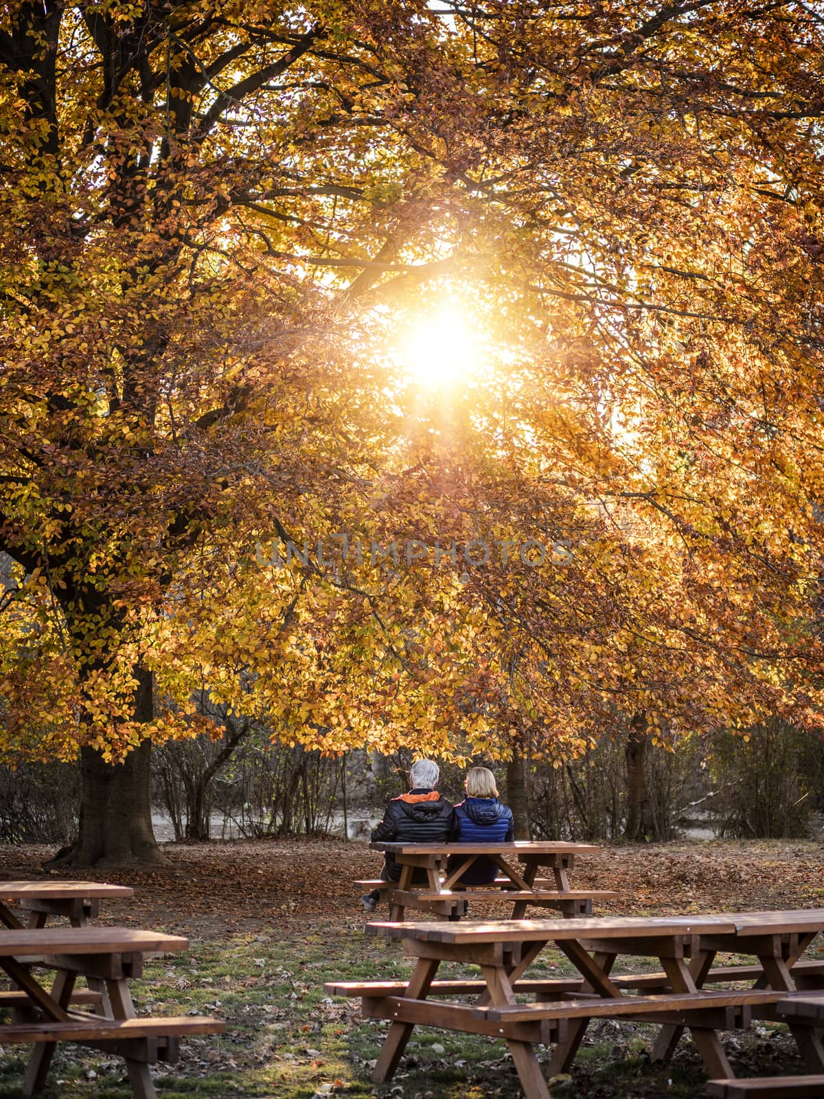 Senior couple relaxing in autumnal park by artofphoto