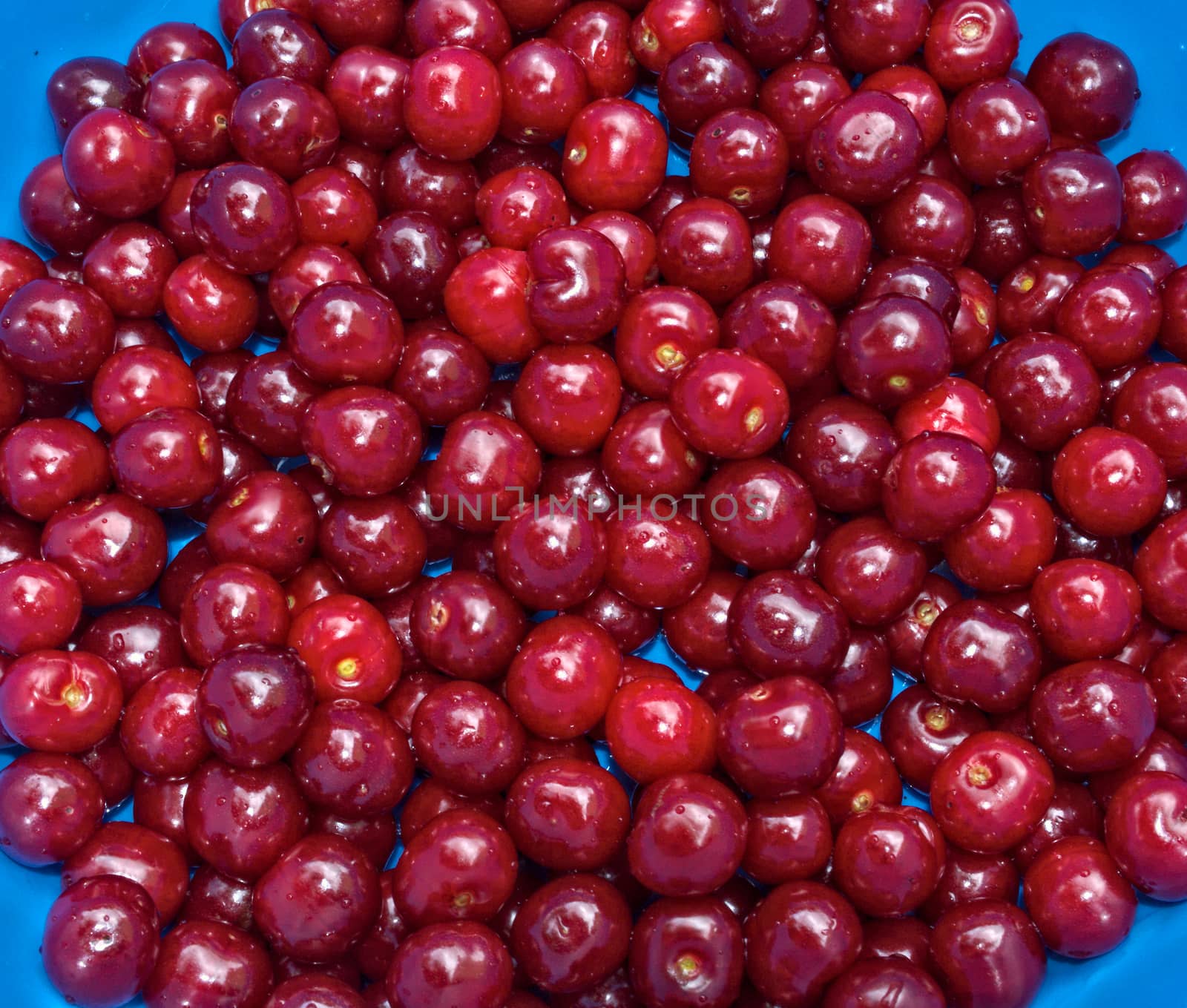 Cherries harvested, washed, and ready to eat, close up by sheriffkule