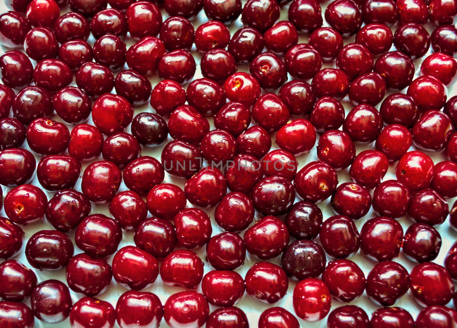 Cherries harvested, washed, and ready to eat, close up