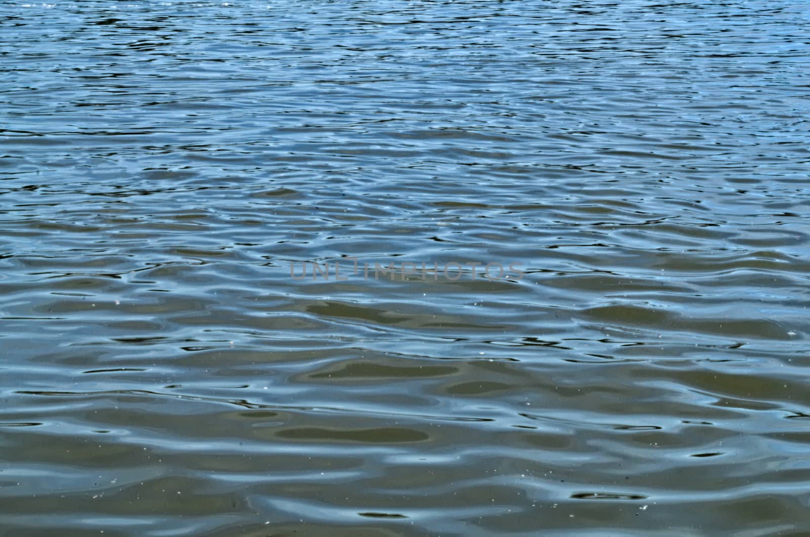 Quiet water waves on Danube